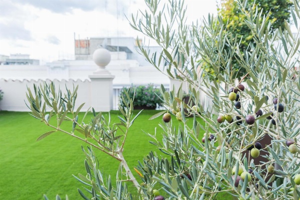 200 ROOMS & TERRACE Main image