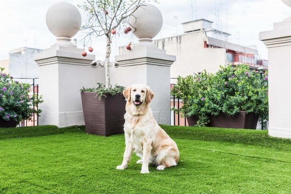 200 ROOMS & TERRACE image 7